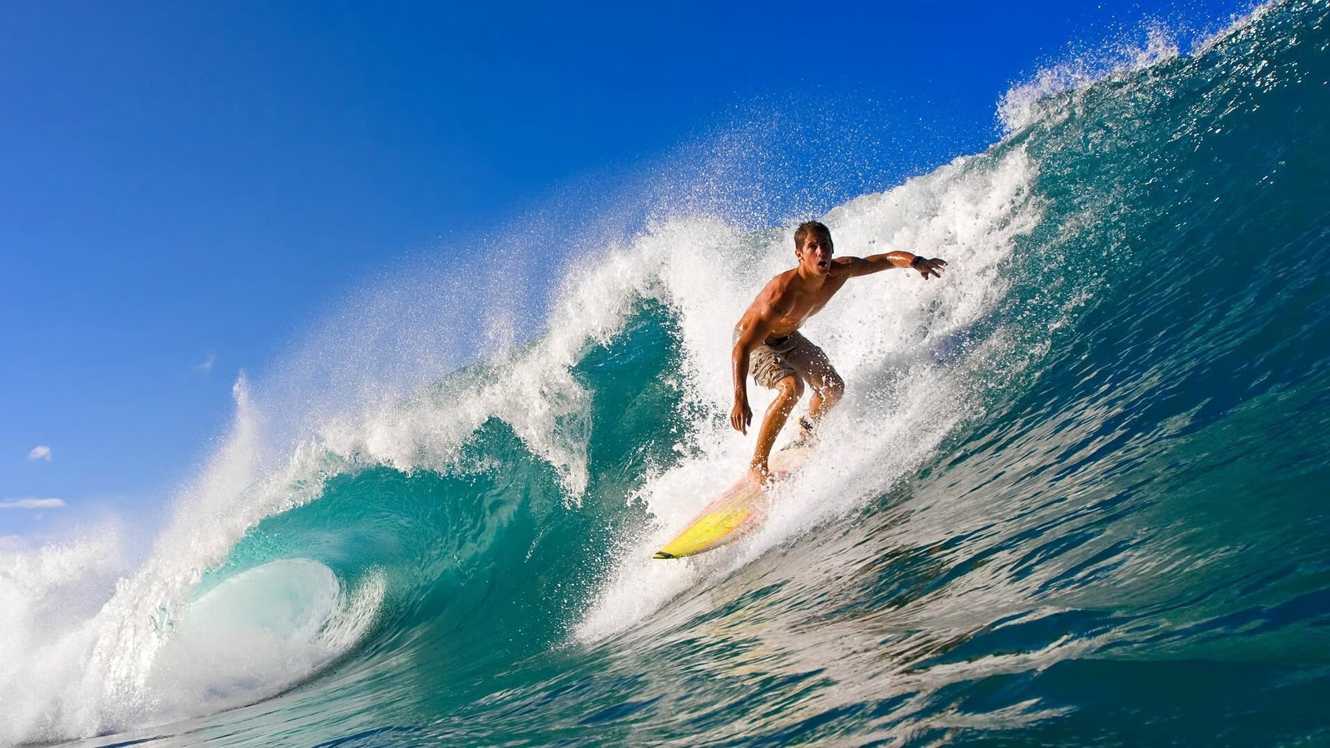 “SHO-CHAN Run 2025:跑者狂热,香港再掀赛事高潮”